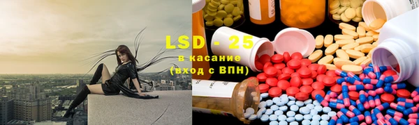 стаф Бородино