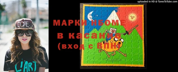 стаф Бородино