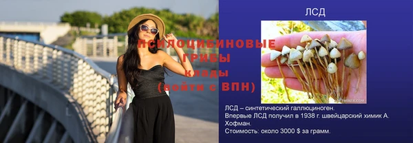 трава Бронницы