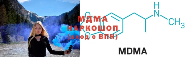 стаф Бородино
