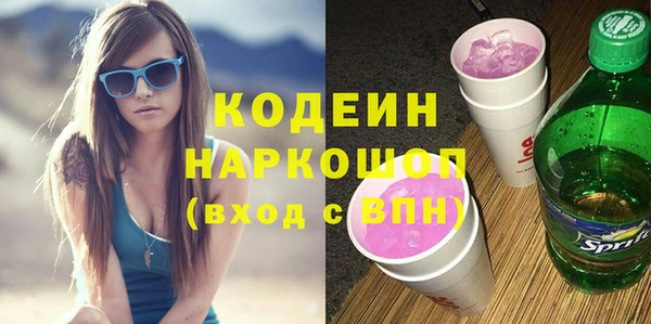 стаф Бородино