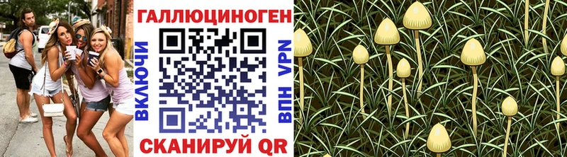 Псилоцибиновые грибы Psilocybe  Купить где  Нолинск 